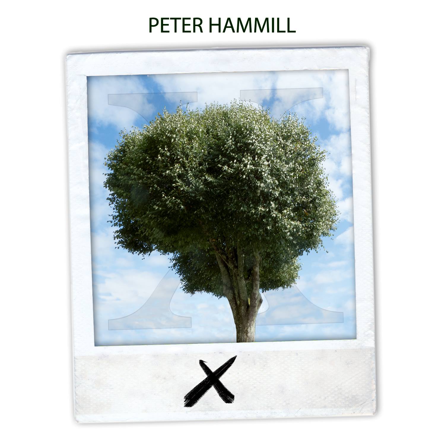 Peter Hammill - X/Ten