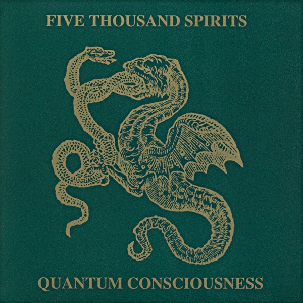 Five thousand spirits - Quantum Consciousness