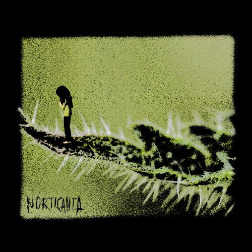 Recensione Norticanta - Norticanta